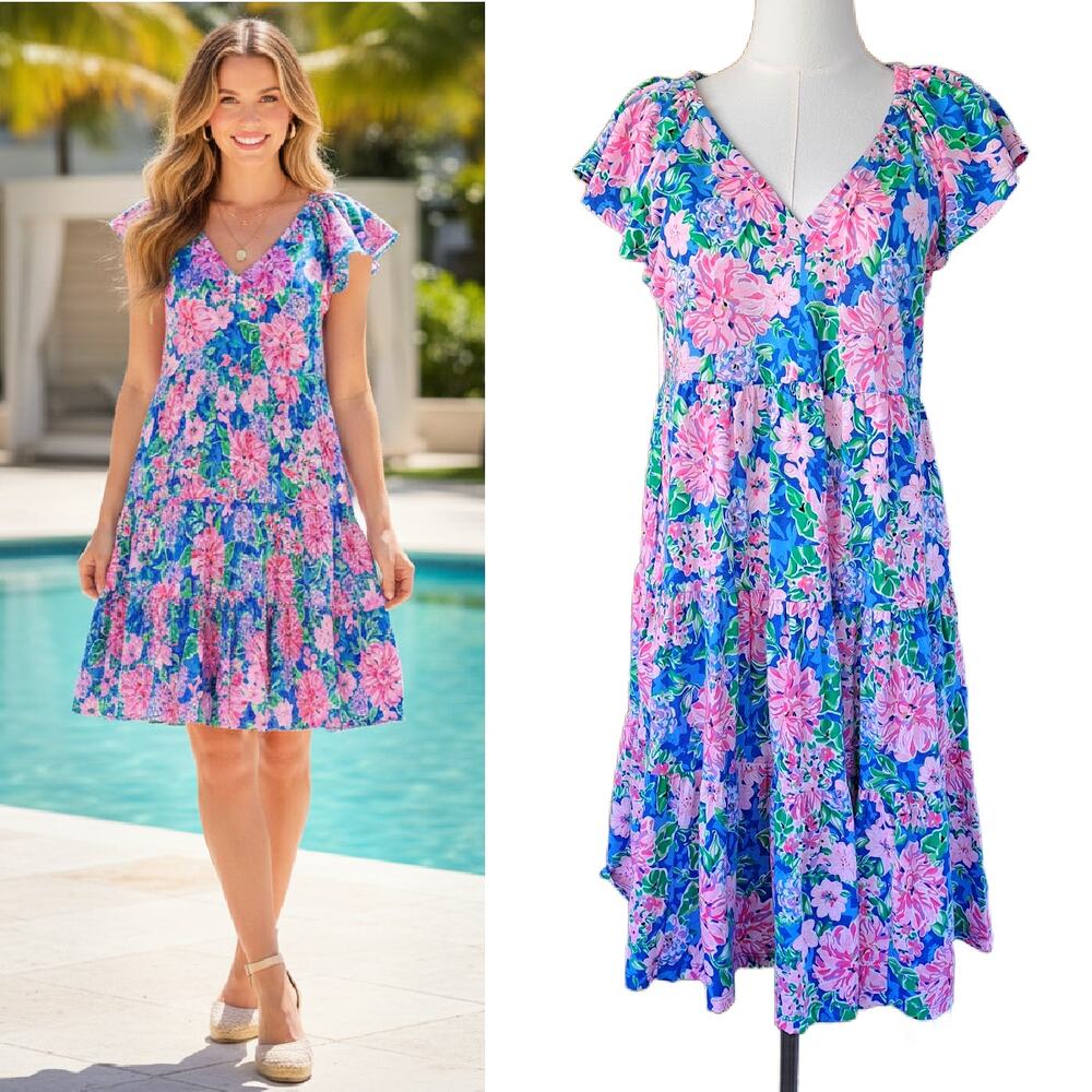 Lilly Pulitzer Kawai Flutter Sleeve Dress Small Sping in Your Step Pink Blue